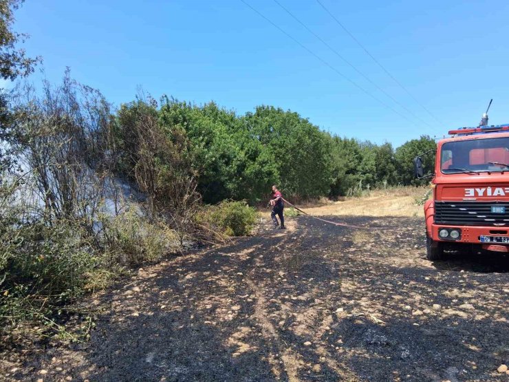 Bozdoğan’da arazi yangını