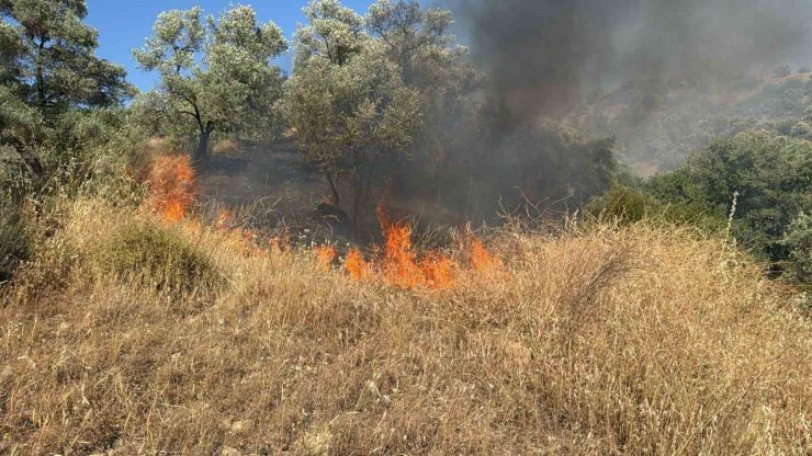 Aydın’da zirai alanda yangın çıktı