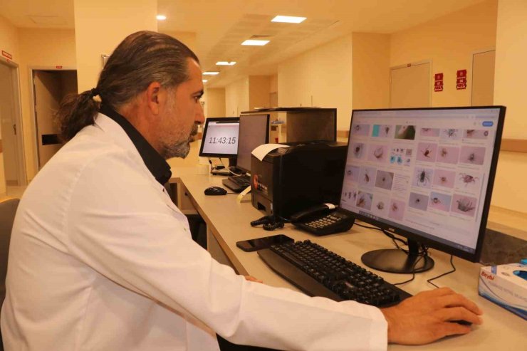 Uzmanından kene uyarısı; Kapalı giysileri tercih edin!