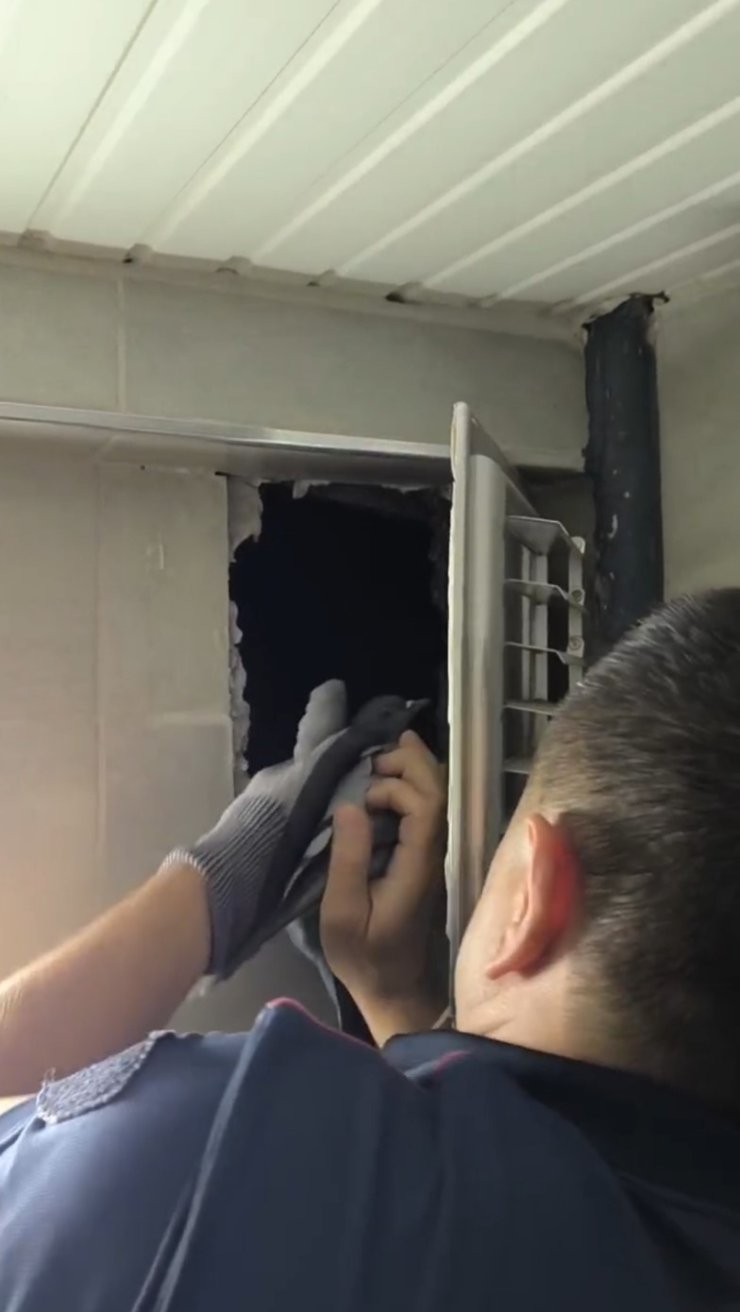 Kuaförün havalandırma boşluğuna sıkışan güvercini itfaiye ekipleri kurtardı