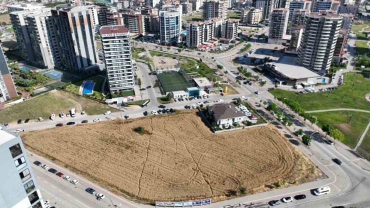 Milyon dolarlık lüks gökdelenlerin ortasında buğday hasadı