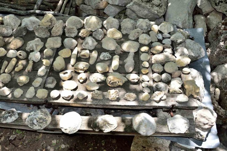 Mersin Mut’ta fosil araştırması