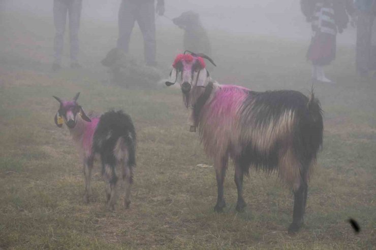 118 yıldır devam eden gelenek: Gelin gibi süslenen hayvanları ile göçe başladılar