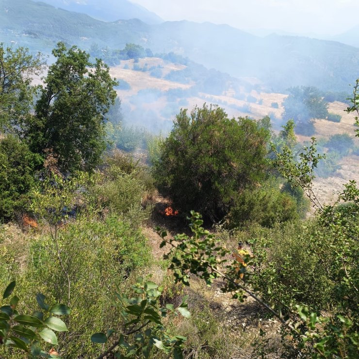 Antalya’da ormanı tehdit eden yangın kontrol altına alındı