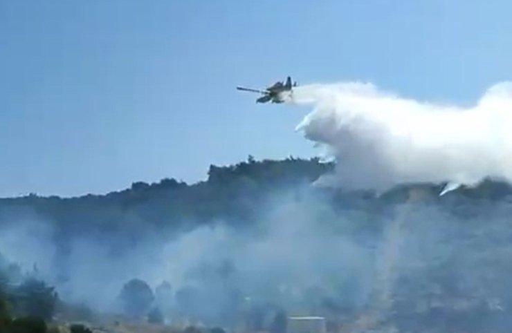 Kuşadası’nda orman yangını