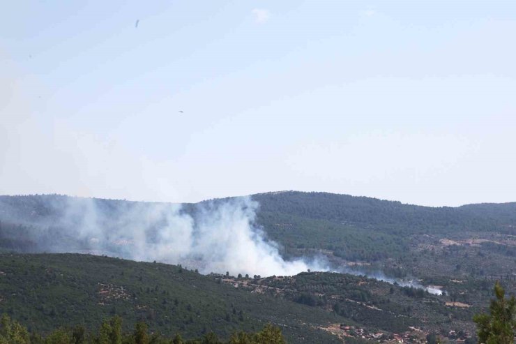 Menteşe’de orman yangını başladı