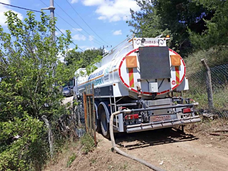 Dağyenice’de 25 dönüm küle döndü