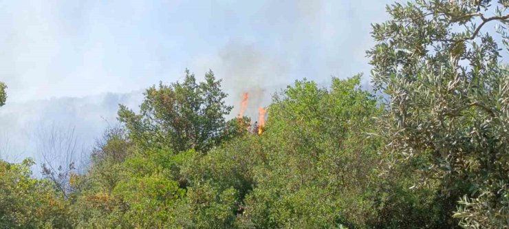 Orhangazi’deki yangına havadan ve karadan müdahale ediliyor