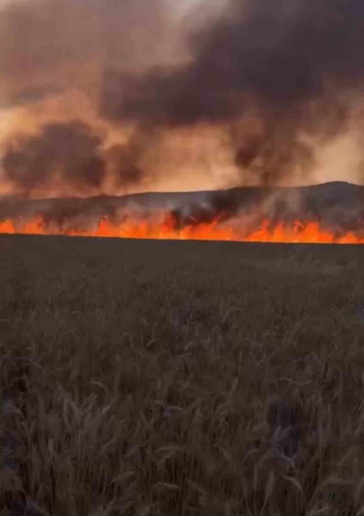 Diyarbakır’da buğday tarlasında anız yangını
