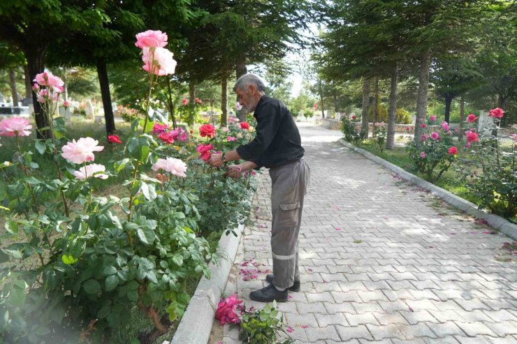 Rüyayla başladı, hayatının görevi oldu: 19 yıldır karşılıksız mezarlık bakımı yapıyor