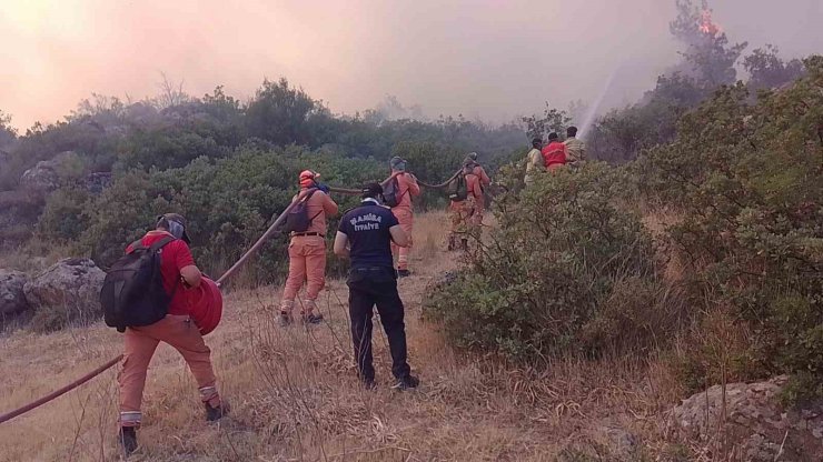 Alevlerin içinde hayatta kalma mücadelesi