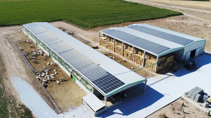 Denizli tarımına 87.4 milyonluk destek