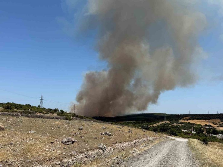 Ezine’de tarım arazisinde başlayan yangın ormanlık alana sıçradı