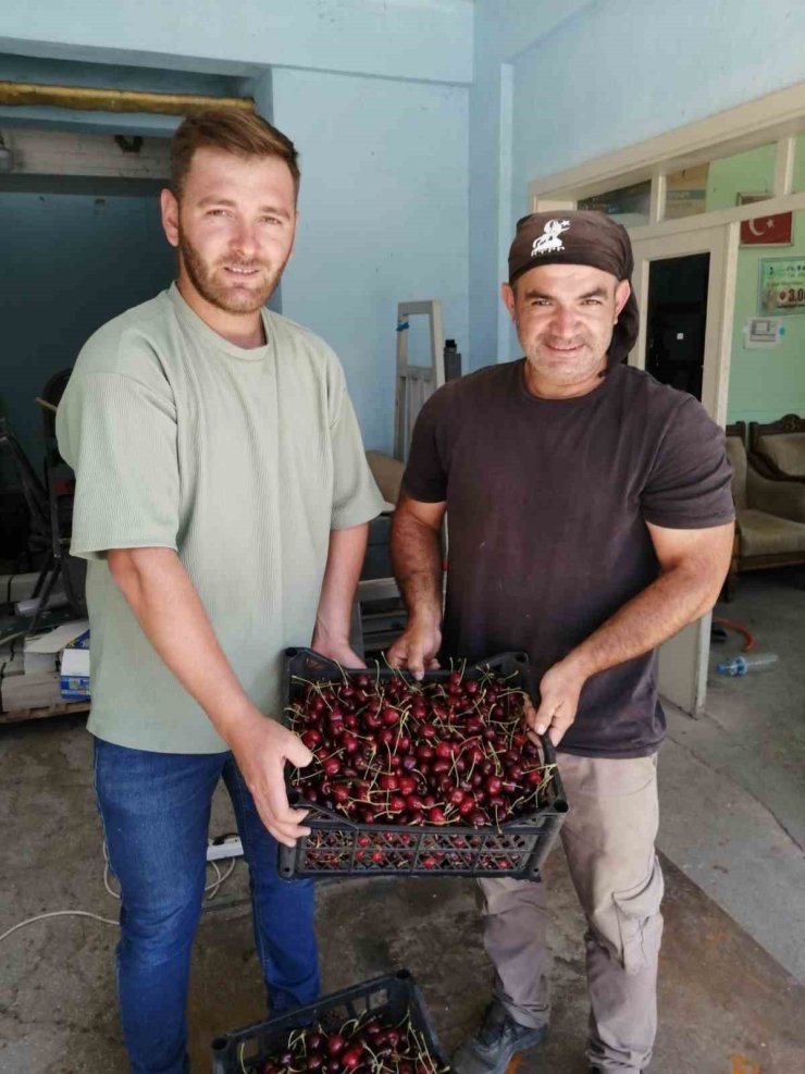 Akşehir’de ilk kiraz hasat edildi