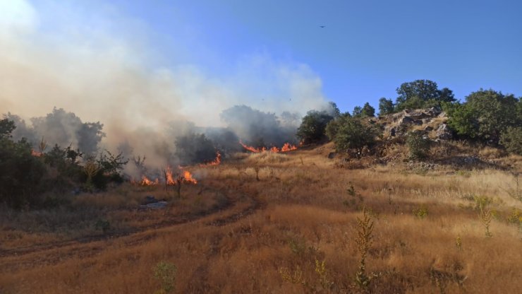 Adıyaman’da orman yangını korkuttu