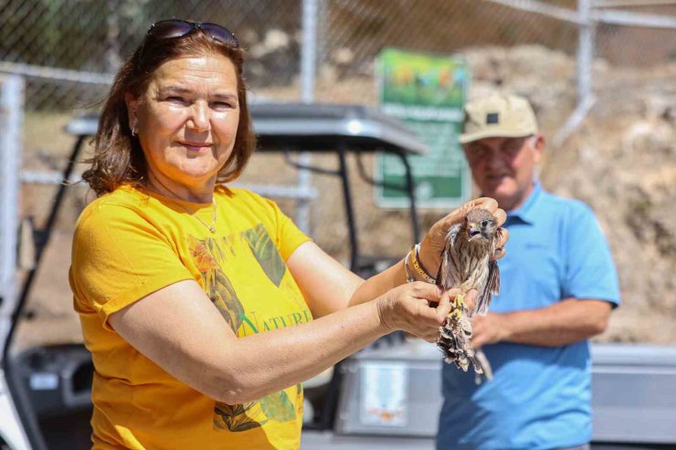 Yetişkinliğe erişen kerkenez yavruları doğal ortamlarına bırakıldı