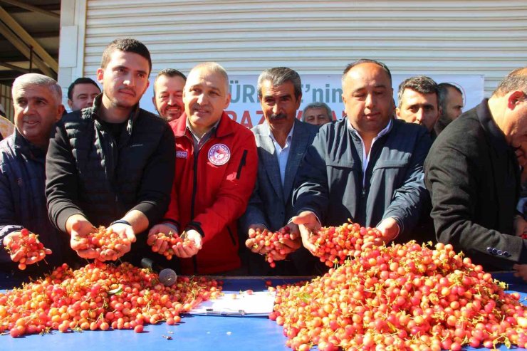 Manisa’nın ilk 5 aylık tarım ihracatı 400 milyon dolara yaklaştı