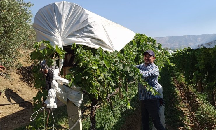 Sarıgöl’de örtü ekipleri işleri sıraya koydu