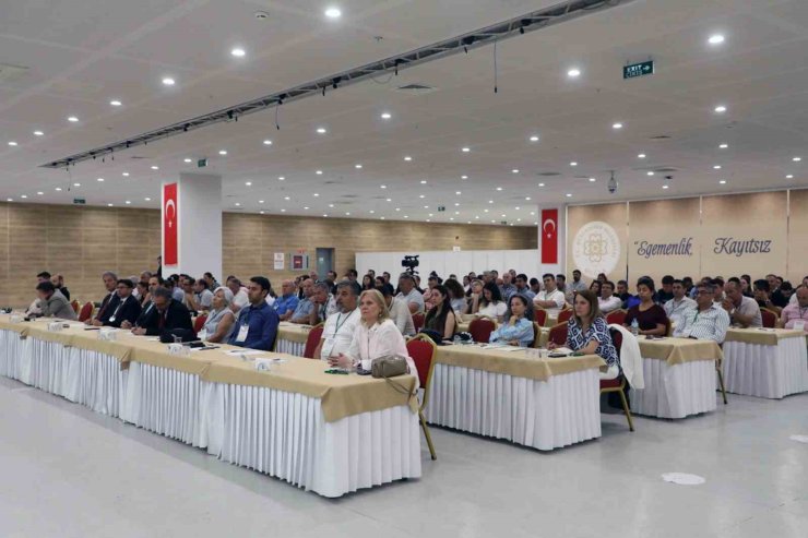 Muğla’da şehir merkezlerine kadar inen yaban domuzlarına çare aranıyor