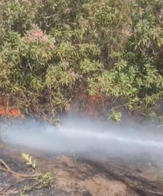 Osmaniye’de çalılık alanda çıkan yangın söndürüldü
