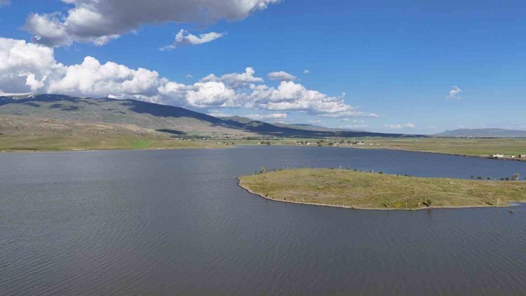 Patnos Barajı’nda balık çeşitliliği azalıyor