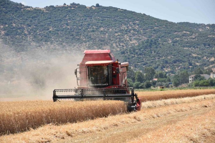 Çiftçilerden hayvan üreticilerine kritik uyarı: "Elinizi Çabuk Tutun"
