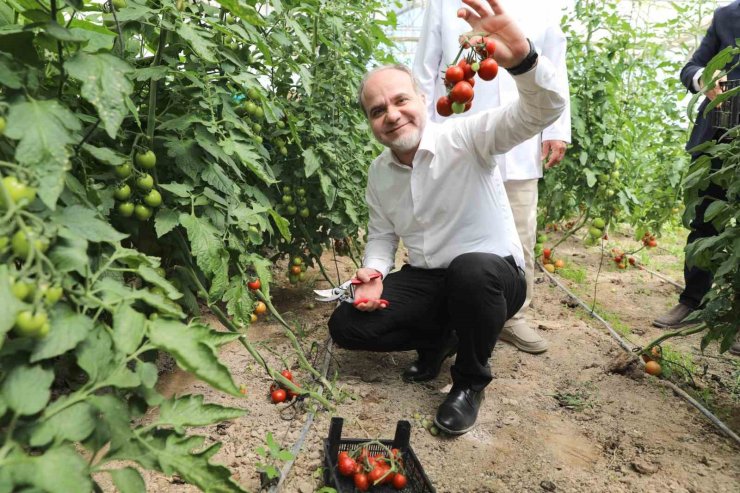 Üreten üniversite NÖHÜ, tarım faaliyetlerine devam ediyor
