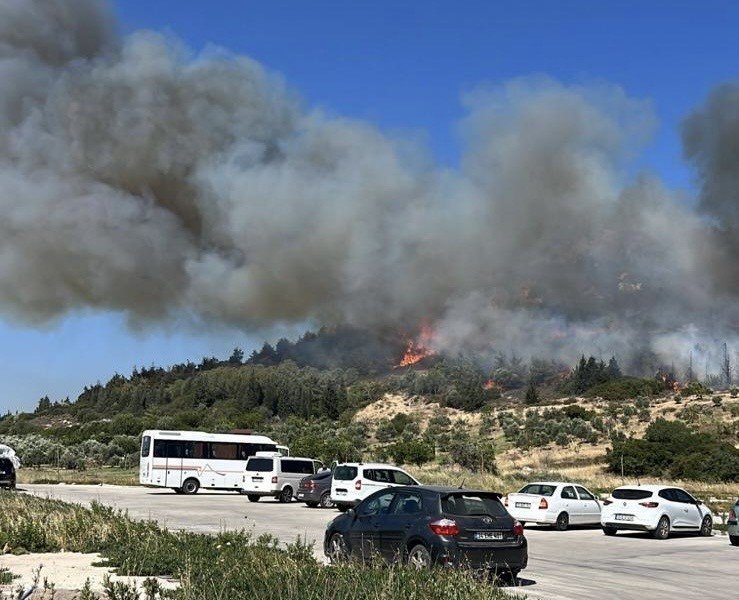 Aliağa’da bir orman yangını daha