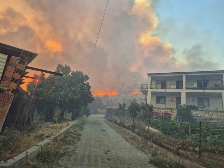 İzmir’de orman yangını kontrol altında