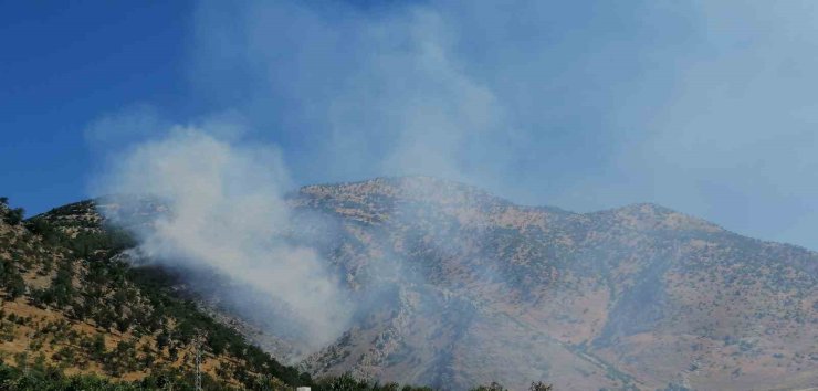 Kahramanmaraş’ta orman yangını