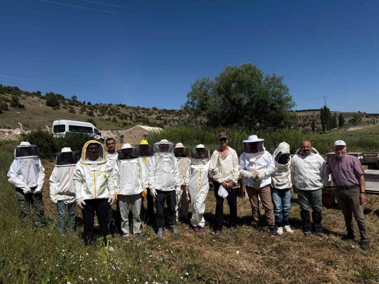 Arıcılık eğitimlerinde uygulama aşamasına geçildi