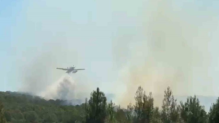 Şarköy’de ormanlık alanda çıkan yangına karadan ve havadan müdahale ediliyor