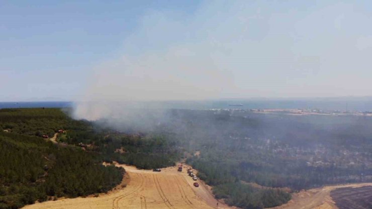 Tekirdağı’nda ormanlık alanda yangına müdahale sürüyor
