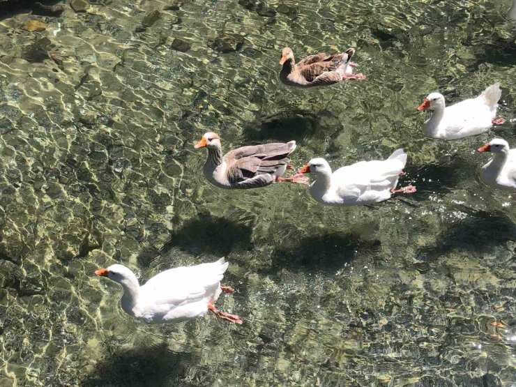İnönü Havacılık Eğitim Merkezi’ndeki doğal güzellik