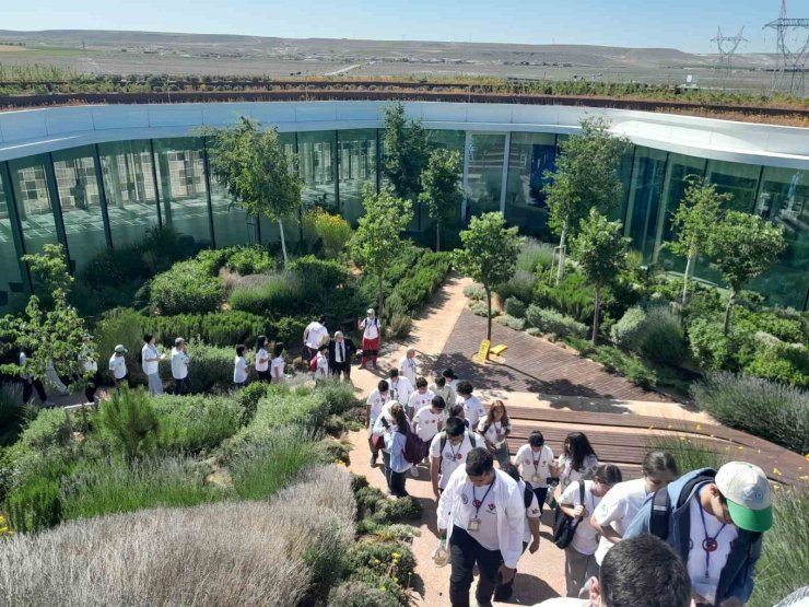 Öğrenciler Karapınar’da doğayı keşfetti