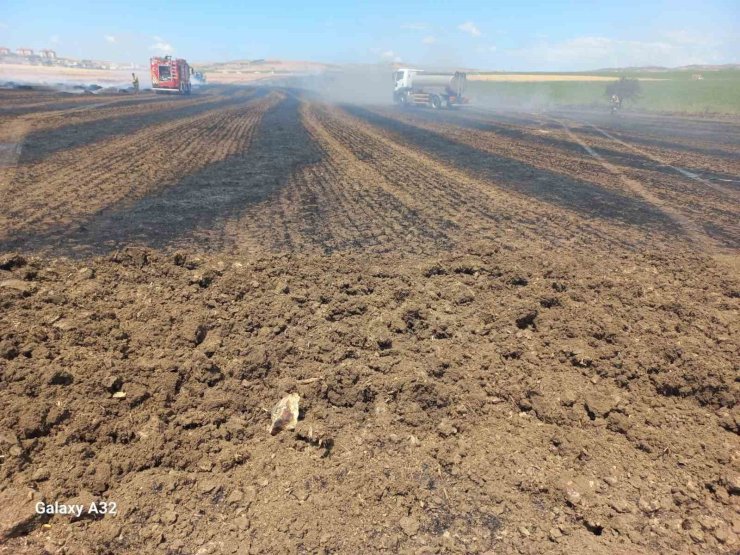 Bandırma Kayacık kırsalında anız ve ekili alan yangını korkuttu