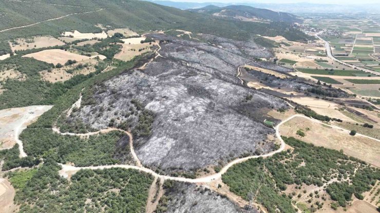 Bursa’daki yangınlarda 65 hektar küle döndü