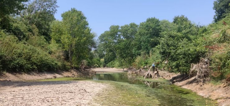 Çanakkale’de kuraklık çayı vurdu, çok sayıda balık öldü