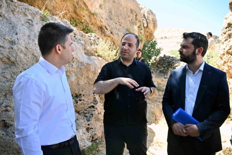 Derik Kaymakamı Bayraklı, zeytinliklerde yürütülen sulama çalışmalarını inceledi