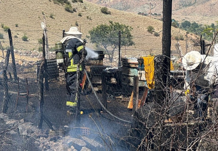 Arı kovanları yandı