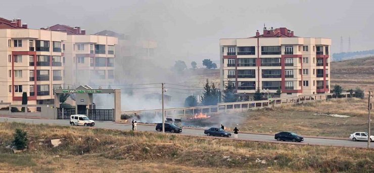Çöpe atılan sigara izmariti nedeniyle yangın çıktı