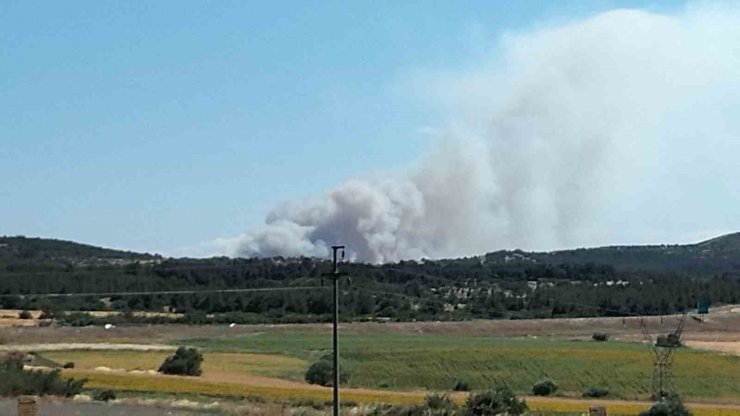 Çanakkale’de tarım arazisinde yangın
