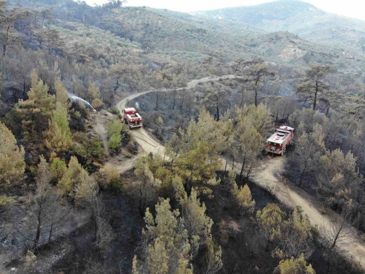Balıkesir Havran’daki yangında havadan müdahale sabahın ilk ışıklarıyla tekrar başladı