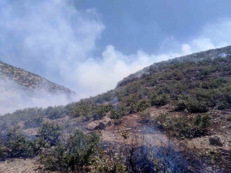 Mardin’de ormanlık alanda çıkan yangına müdahale sürüyor