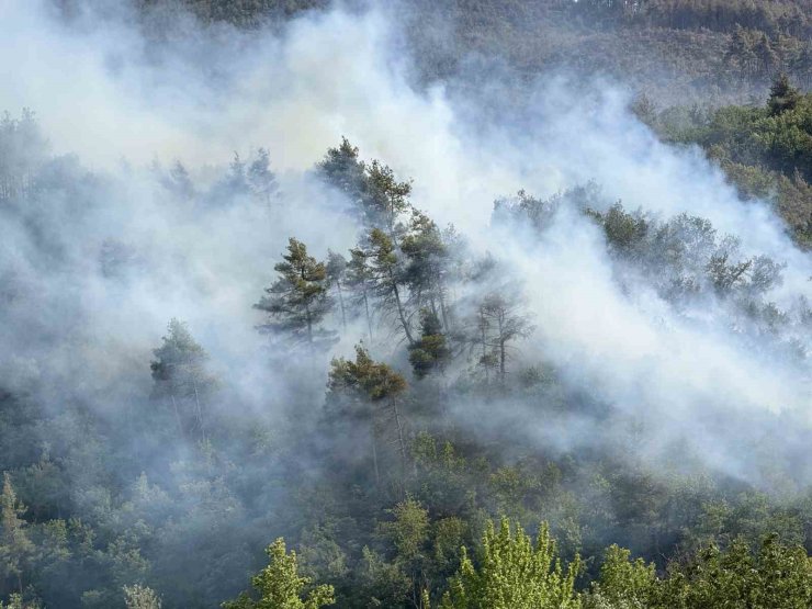 Sakarya’da ormanda yeniden yükselen alevlere havadan ve karadan müdahale edildi