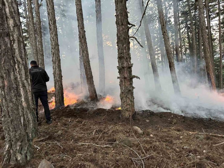 Kızılcahamam Soğuksu Milli Parkı’nda piknikçi ateşinden yangın çıktı