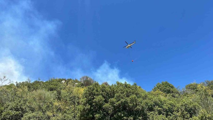 Zirai alanda başlayan yangın ormana sıçradı