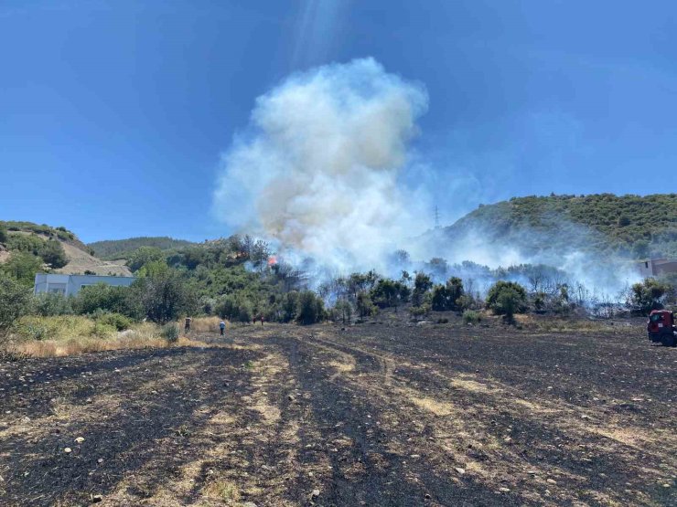 Osmaniye’de çıkan orman yangını söndürüldü