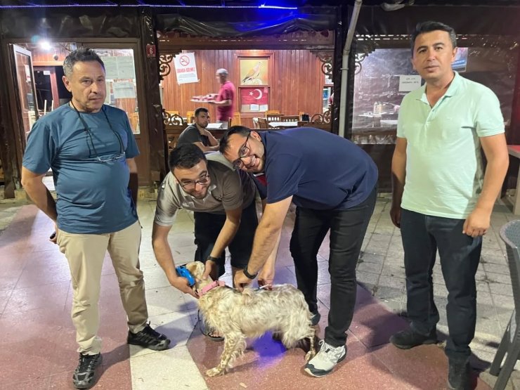 Toplu kuduz aşısı uygulaması avcılar kulübünde gerçekleştirildi