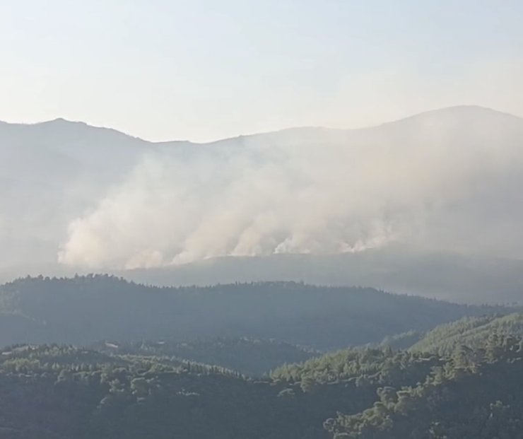 İzmir’de orman yangını sürüyor... Günün aydınlanmasıyla havadan müdahale yeniden başladı